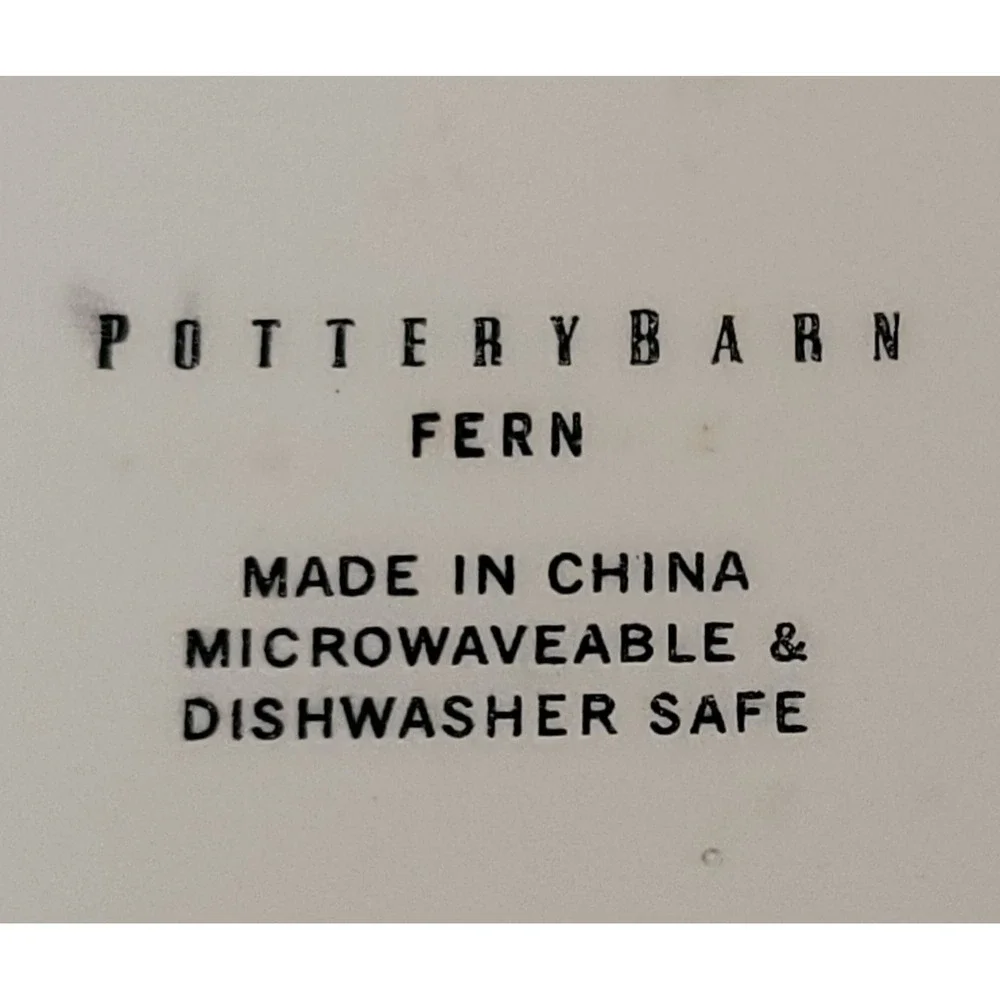 Pottery Barn Fern Square Plate‎ Botanical Leaves Modern Dinnerware RARE EUC